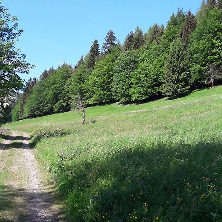 Ferienhaus Moosbachtal Thueringer Wald Bei Oberhof Rotterode المظهر الخارجي الصورة