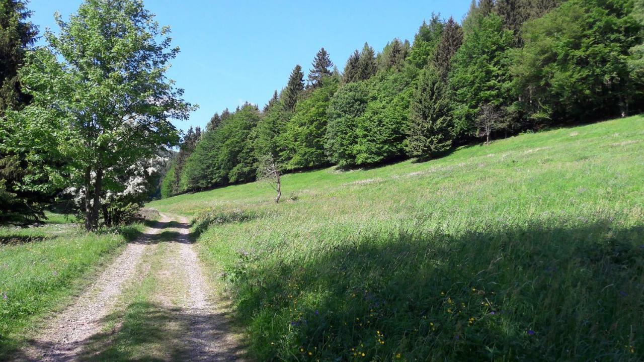 Ferienhaus Moosbachtal Thueringer Wald Bei Oberhof Rotterode المظهر الخارجي الصورة