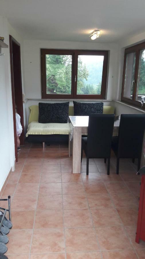 Ferienhaus Moosbachtal Thueringer Wald Bei Oberhof Rotterode المظهر الخارجي الصورة